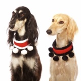 SOFA Dog Wear - Don't miss out on great Christmas collars!