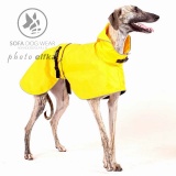 SOFA Dog Wear - New colours of raincoats - Zoe in yellow