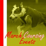 SOFA Dog Wear - March Coursing events