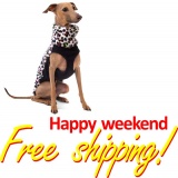 SOFA Dog Wear - Happy weekend with free shipping!