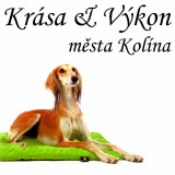 SOFA Dog Wear - Beauty and perfomance Kolín (CZ) 10. - 11. 7. 2021