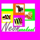 SOFA Dog Wear - Neon weekend - discount 30% for selected items!